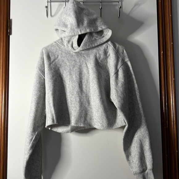 Cropped hoodies from aritzia - Picture 3 of 4